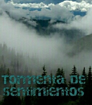 tormenta-de-sentimientos
