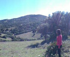 paz conciencia tranquila