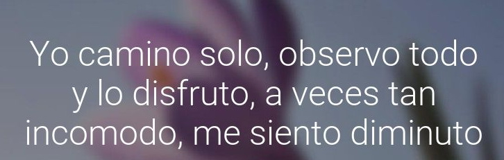 me descubrí observando